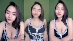 Bunga Matahari Semakin Bersinar Dan Menggoda