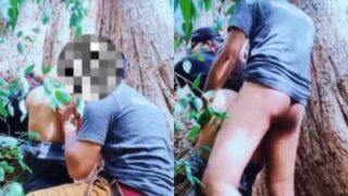 Video Mesum Pasangan Ngentot Di Bawah Pohon Besar